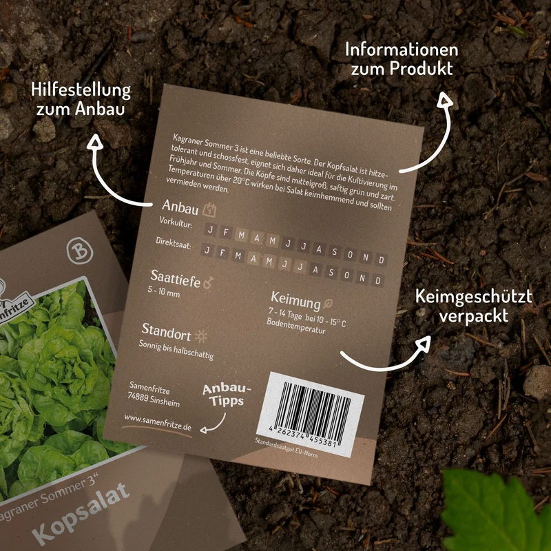 Kopfsalat Kagraner Sommer 3 Samen