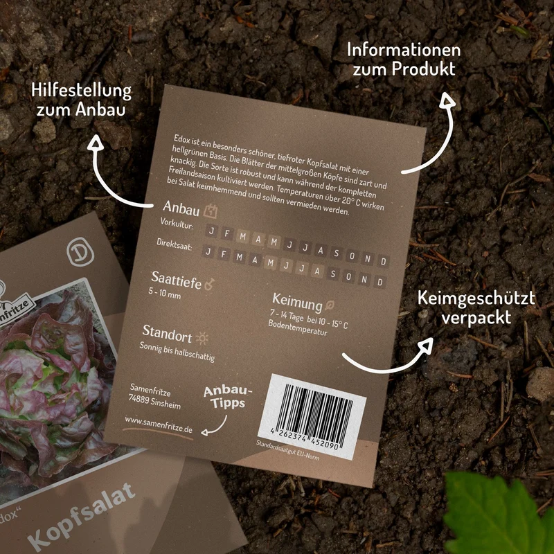 Kopfsalat Edox Samen MHD 06/27