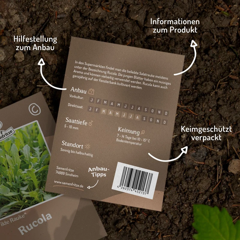Rucola Wilde Rauke Samen