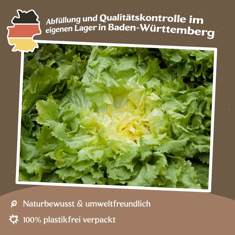 Endiviensalat Gelbes Herz Samen MHD 06/27