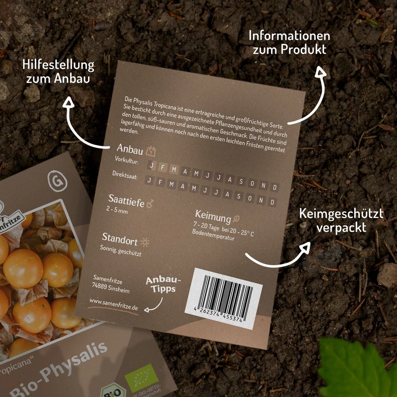Tropicana Bio-Physalis Samen