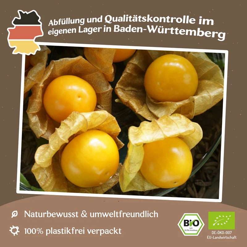 Dulceria Bio-Physalis Samen