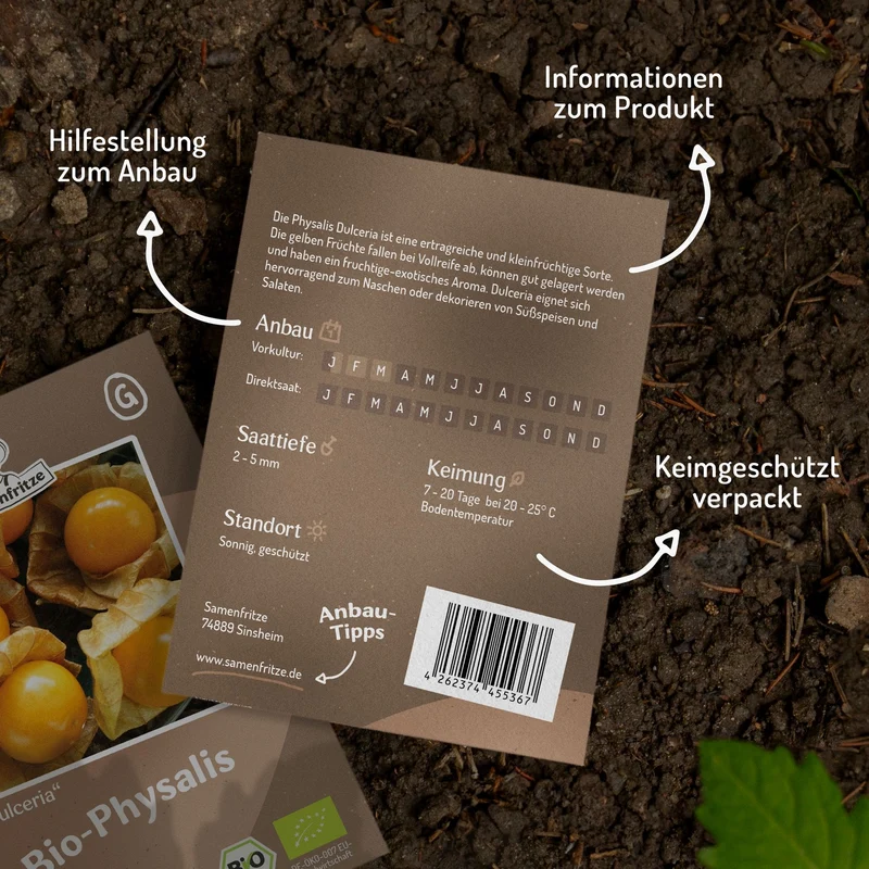 Dulceria Bio-Physalis Samen