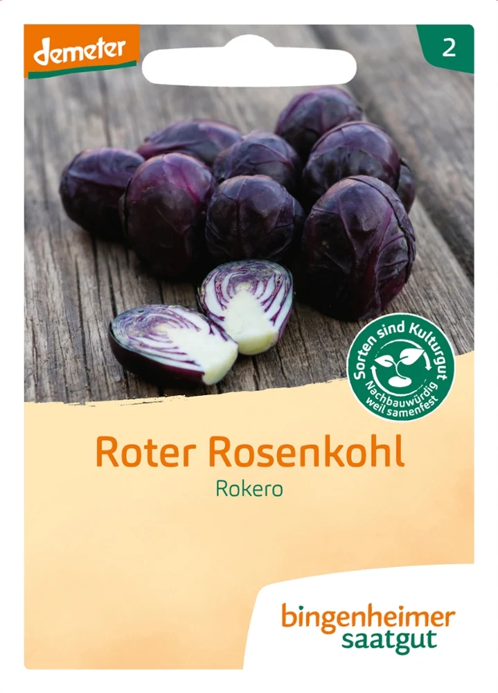 BIO Saatgut Roter Rosenkohl Rokero