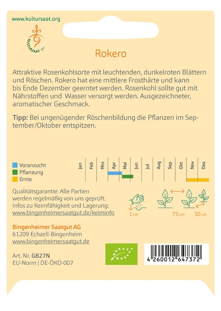 BIO Saatgut Roter Rosenkohl Rokero