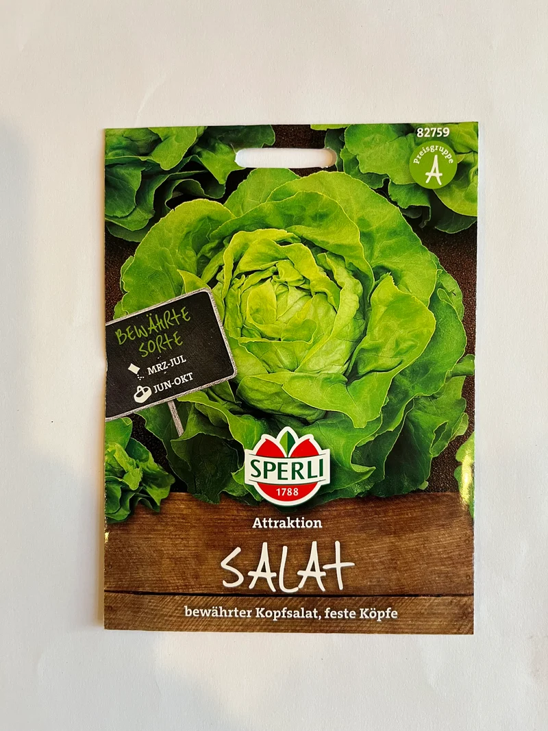 Kopfsalat Atttaktion