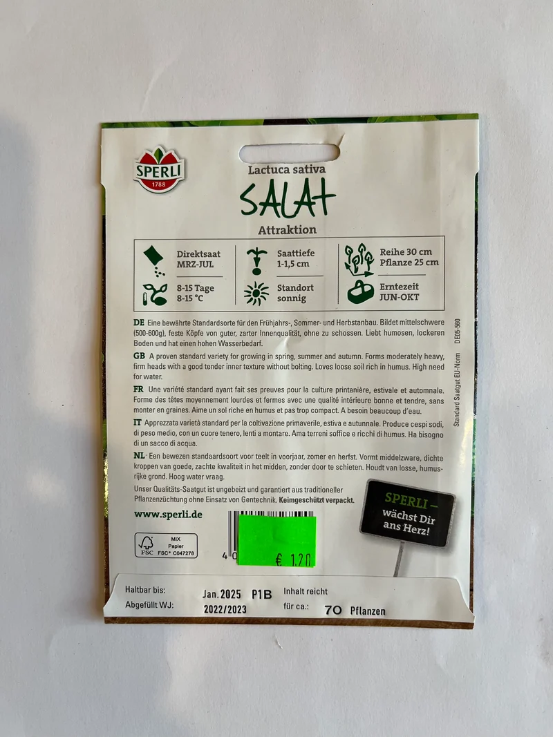 Kopfsalat Atttaktion