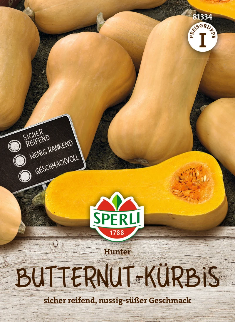 Butternutkürbis Hunter F1 Saatgut