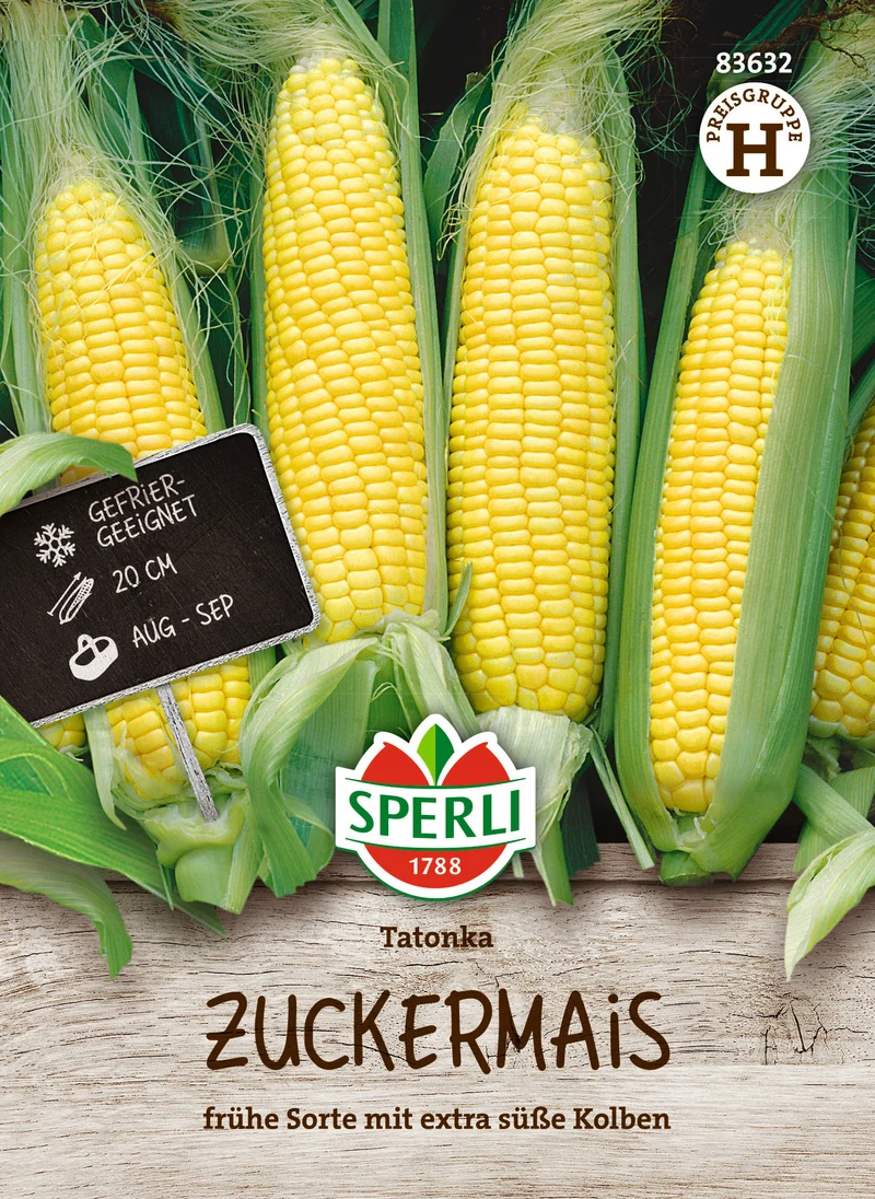 Zuckermais Tatonka F1 Saatgut