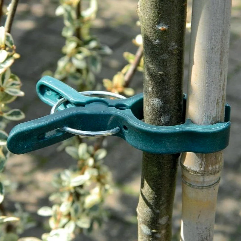 Pflanzenclips groß - Garland Products
