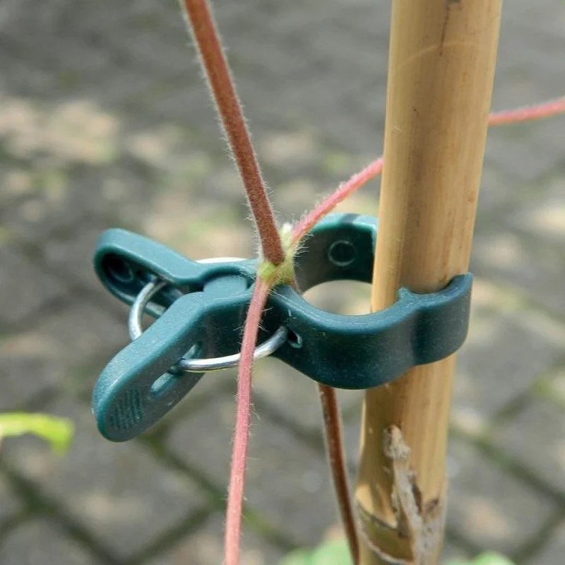 Pflanzenclips klein - Garland Products