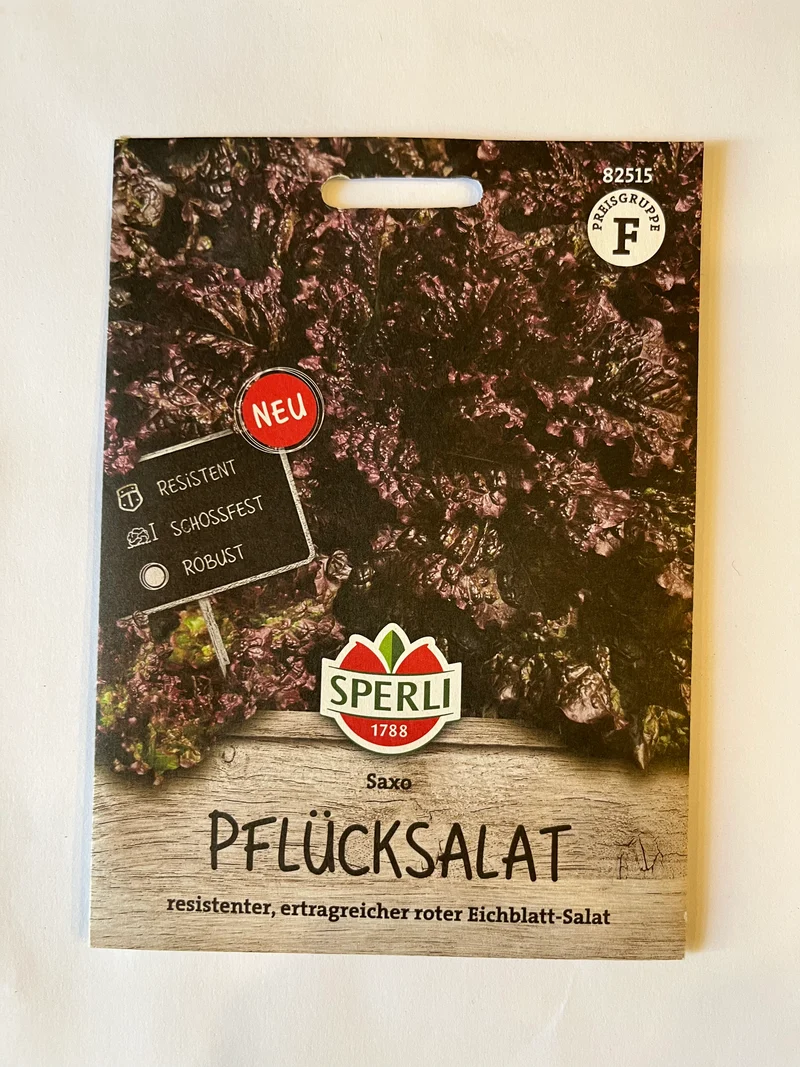 Pflücksalat Saxo