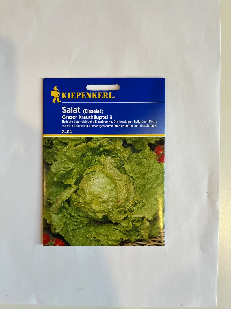 Eissalat Grazer Krauthäuptel