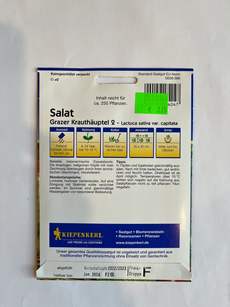 Eissalat Grazer Krauthäuptel