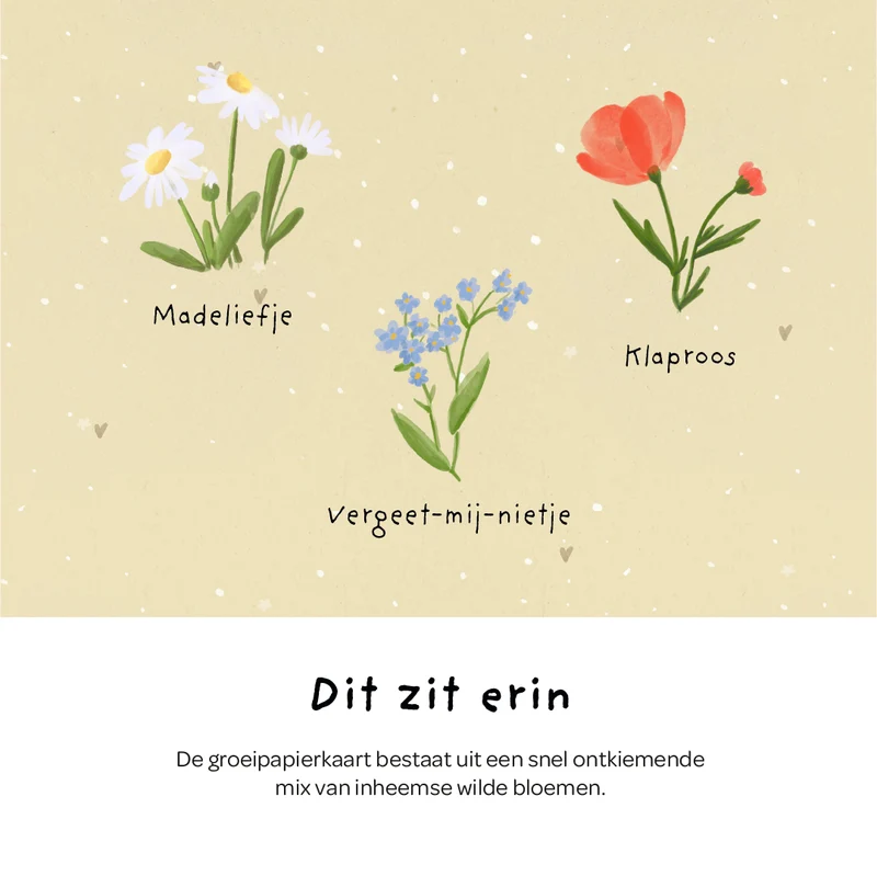 Wenskaart - Jij bent onmisbaar