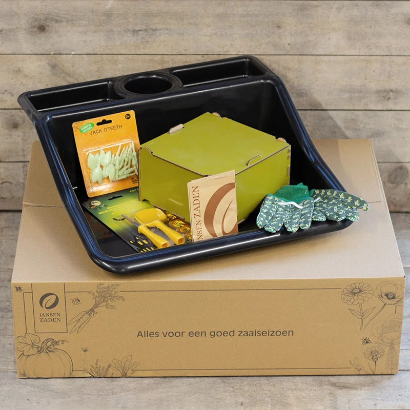Starterpaket – Kürbisspaß