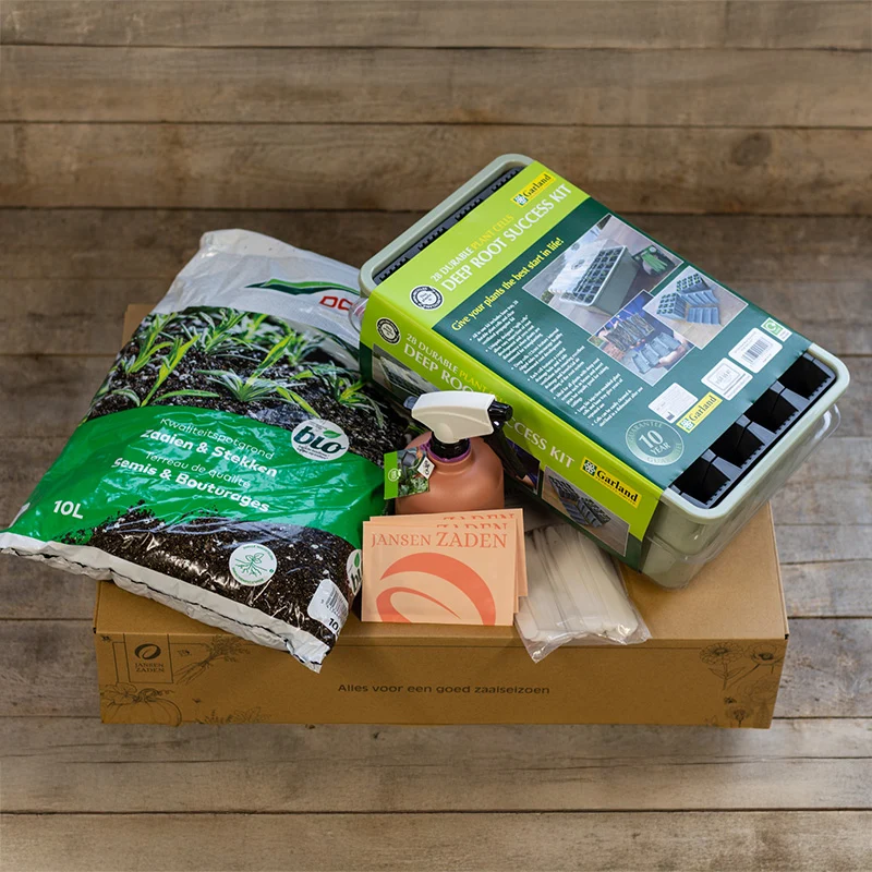 Starterpaket - Lathyrus Succes Kit