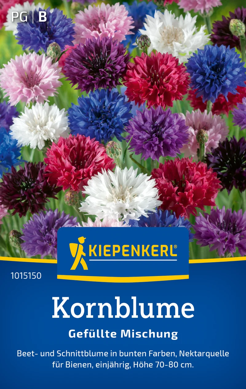 Kornblume Gefüllte Mischung Saatgut