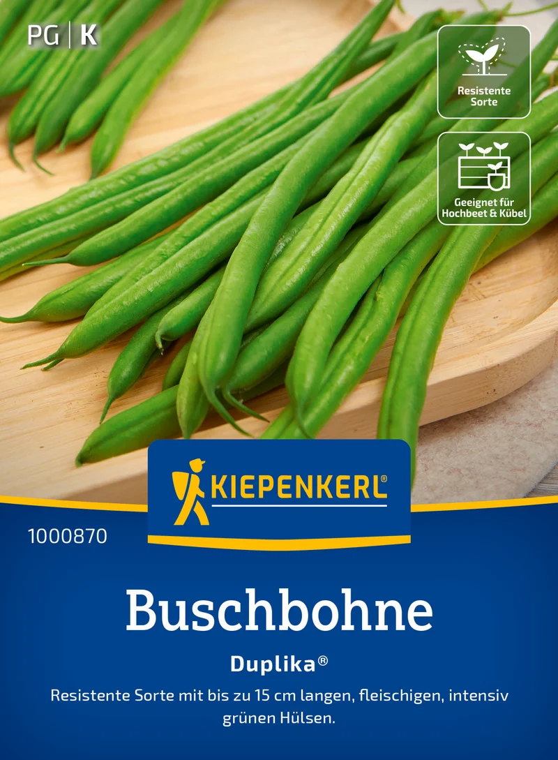 Buschbohne Duplika Saatgut