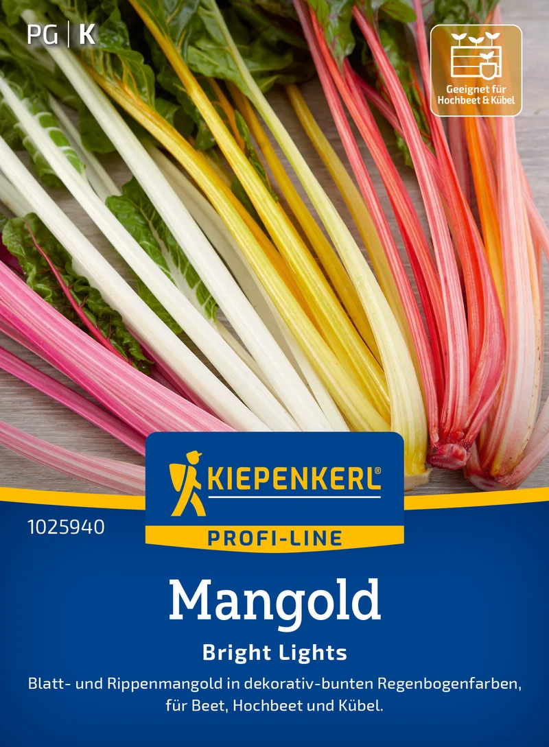 Mangold Bright Lights Saatgut
