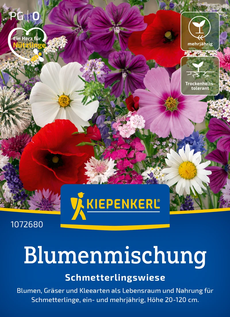 Blütenwiese Blumenmischung Saatgut