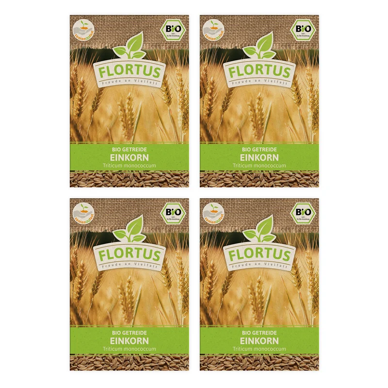 Einkorn | BIO Getreidesamen von FLORTUS