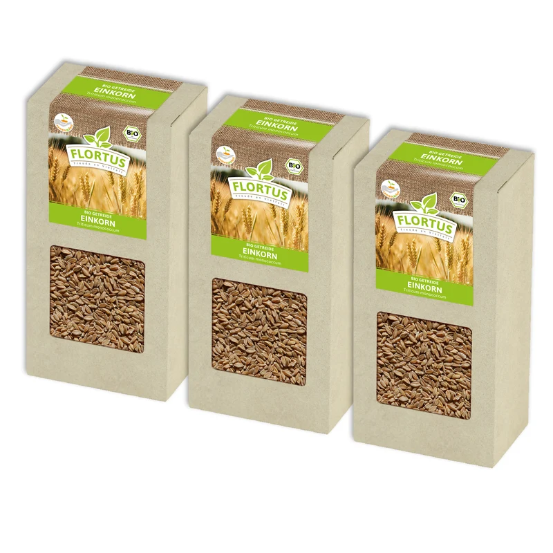 Einkorn | BIO Getreidesamen von FLORTUS
