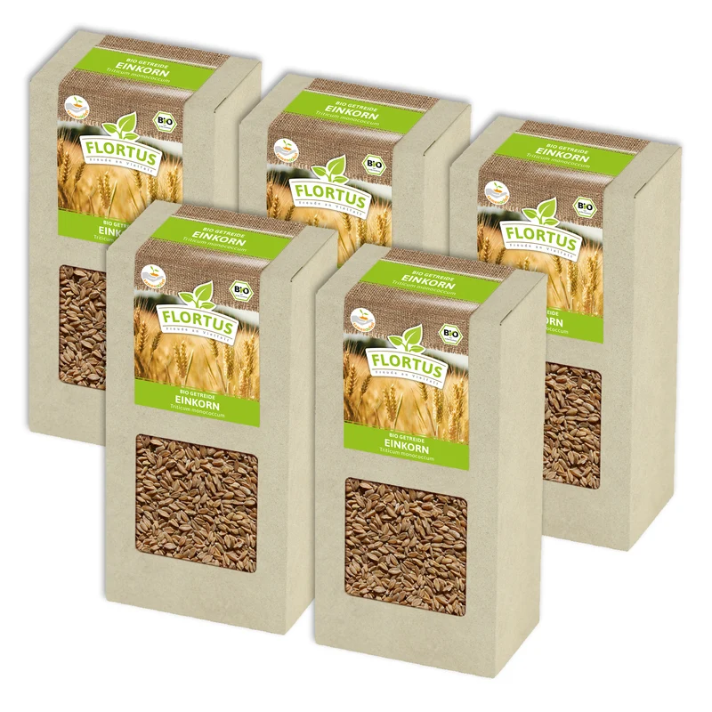 Einkorn | BIO Getreidesamen von FLORTUS
