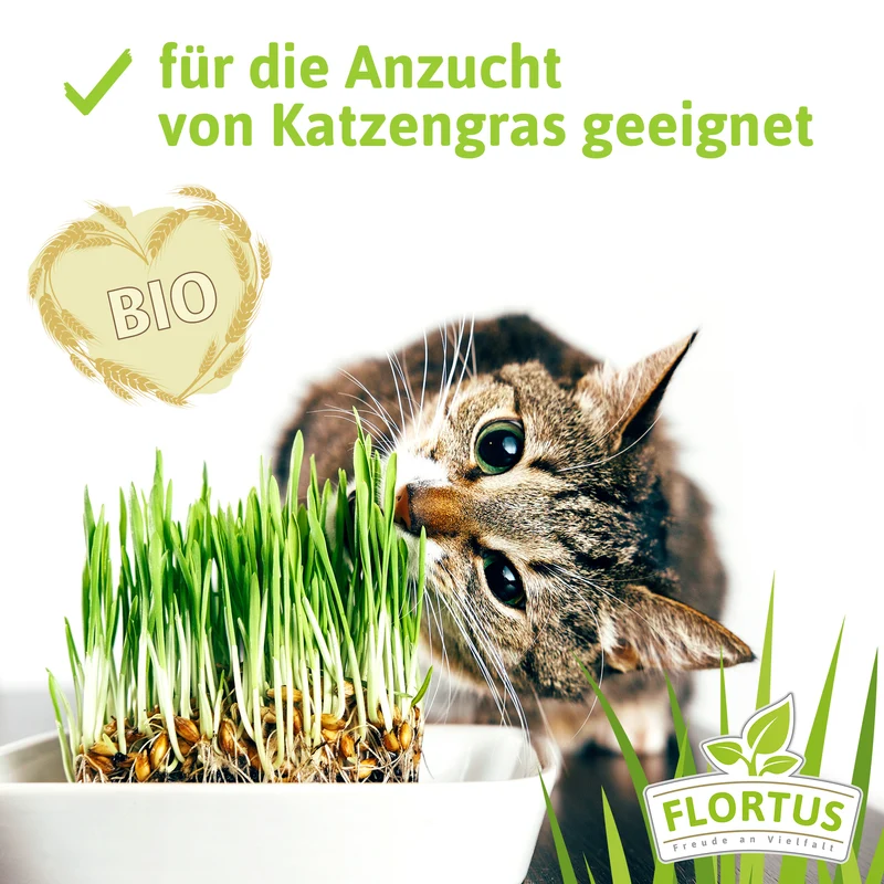 Einkorn | BIO Getreidesamen von FLORTUS