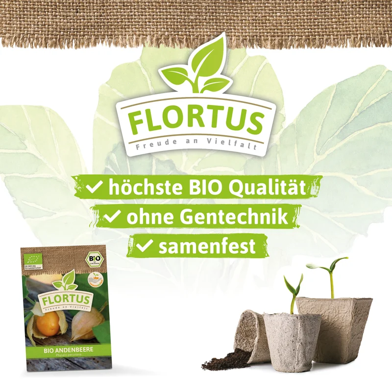 Andenbeere | BIO Andenbeerensamen von FLORTUS