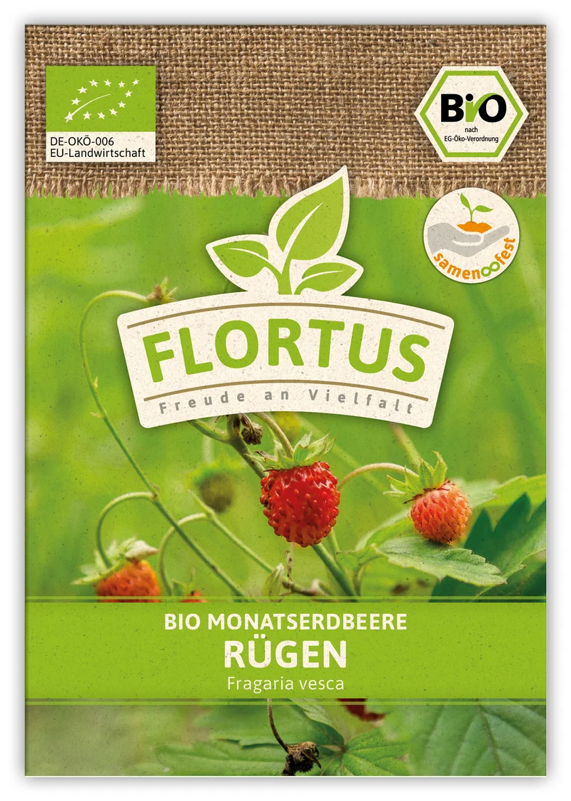 Monatserdbeere Rügen | BIO Erdbeersamen von FLORTUS