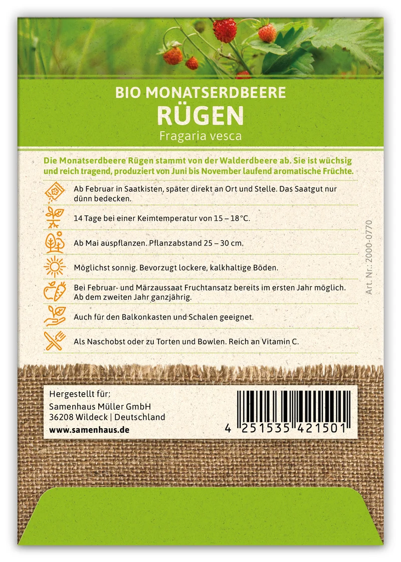 Monatserdbeere Rügen | BIO Erdbeersamen von FLORTUS