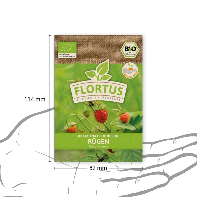 Monatserdbeere Rügen | BIO Erdbeersamen von FLORTUS