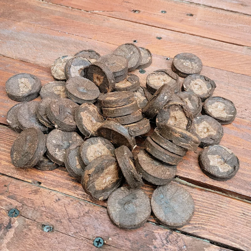 Soil Growing Discs – 3.6 cm - 48 Pack