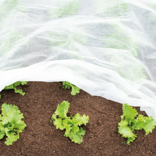 Plant Fleece 1.5m x 10m