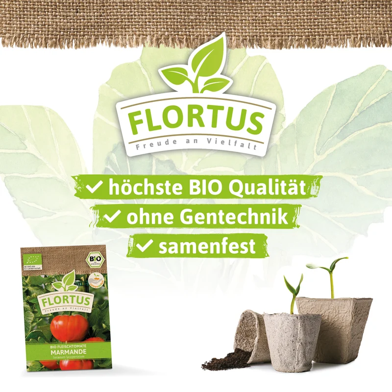 Fleischtomate Marmande | BIO Tomatensamen von FLORTUS