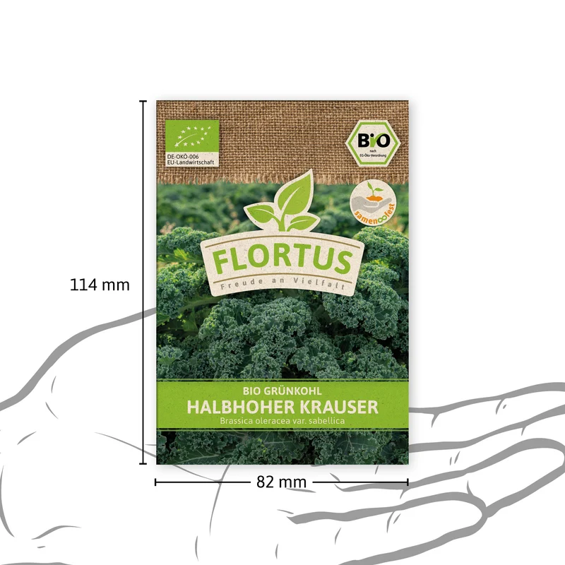 Grünkohl Halbhoher Krauser | BIO Kohlsamen von FLORTUS