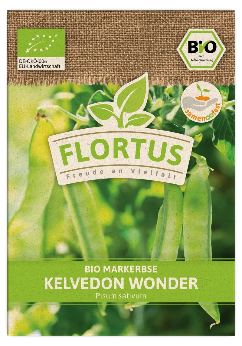 Markerbse Kelvedon Wonder | BIO Erbsensamen von FLORTUS