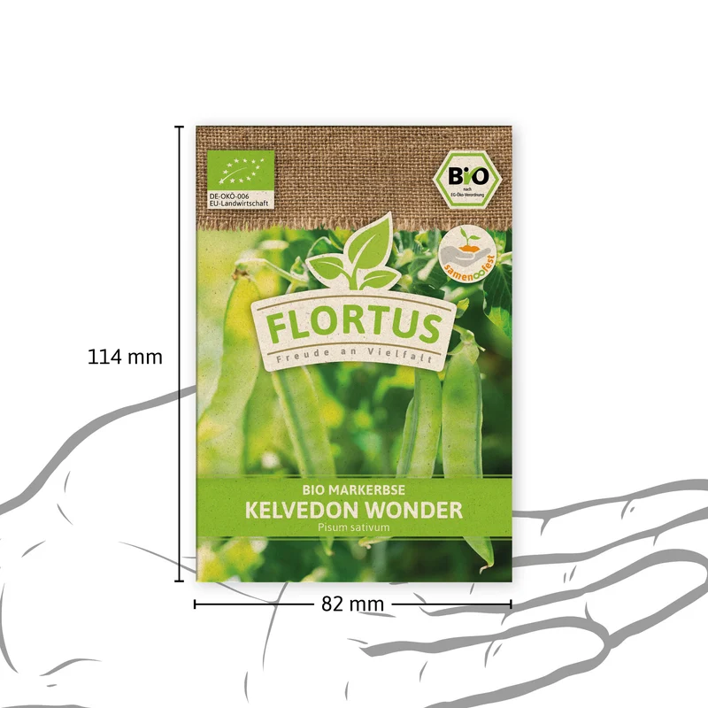 Markerbse Kelvedon Wonder | BIO Erbsensamen von FLORTUS