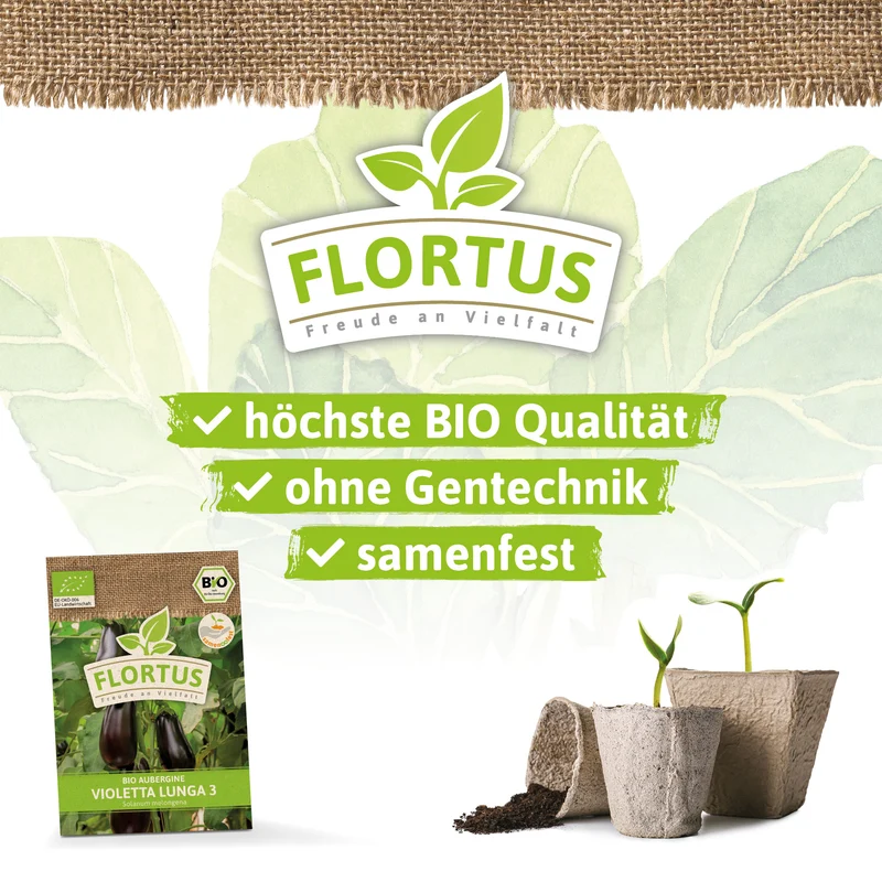 Aubergine Violetta Lunga 3 | BIO Auberginensamen von FLORTUS