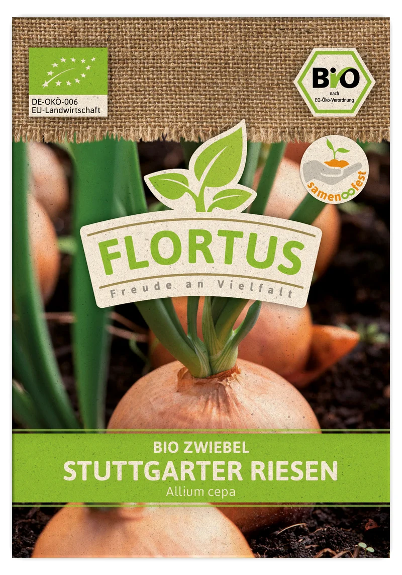 Zwiebel Stuttgarter Riesen | BIO Zwiebelsamen von FLORTUS