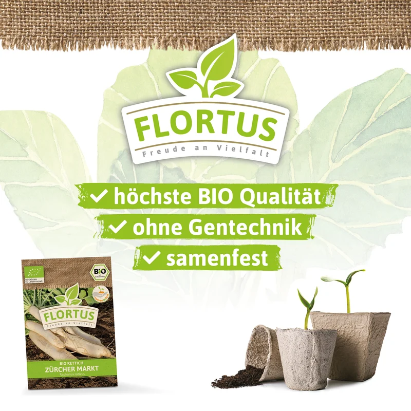 Rettich Zürcher Markt | BIO Rettichsamen von FLORTUS