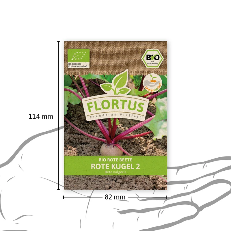 Rote Beete Rote Kugel 2 | BIO Rote Beetesamen von FLORTUS