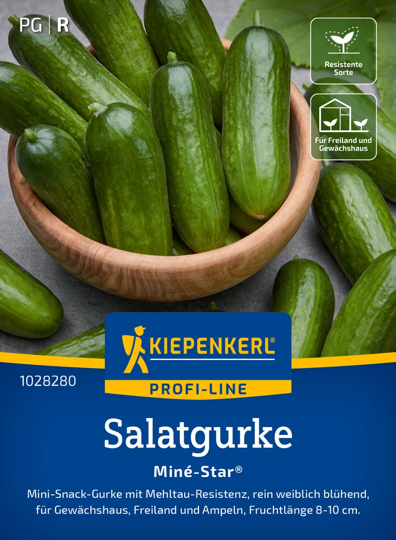 Salatgurke Miné Star F1 Saatgut