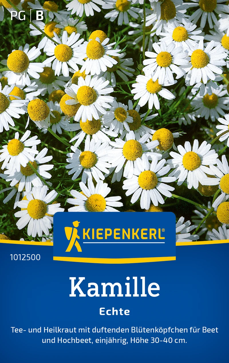 Kamille Echte Saatgut