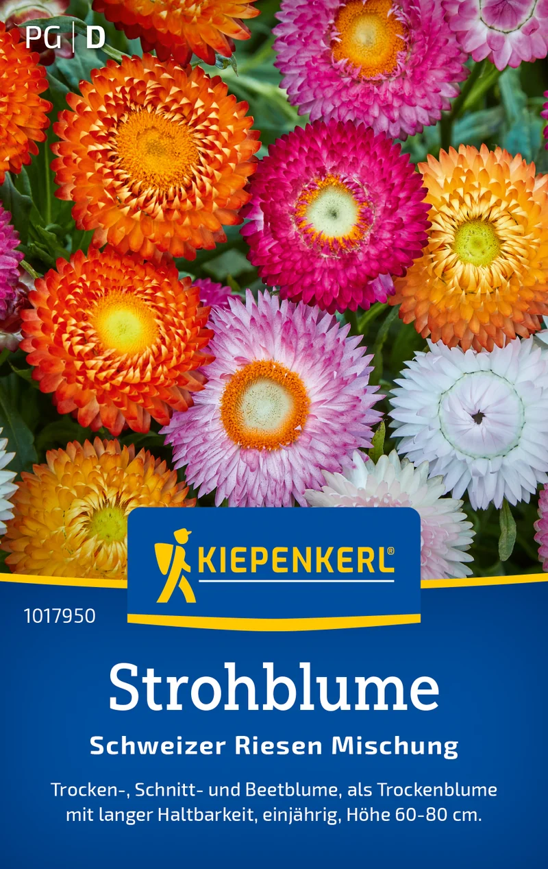 Strohblume Schweizer Riesen Mischung Saatgut