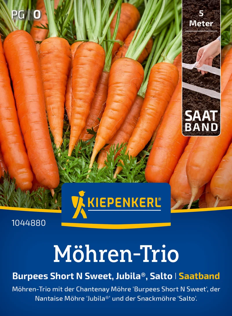 Möhren Trio Short N Sweet Salto Jubila Saatband
