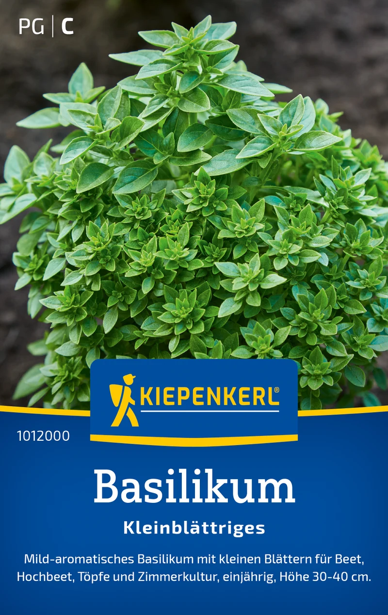 Basilikum Kleinblättriges Saatgut