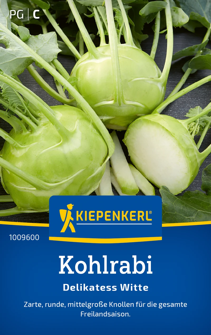 Kohlrabi Delikatess Witte Saatgut