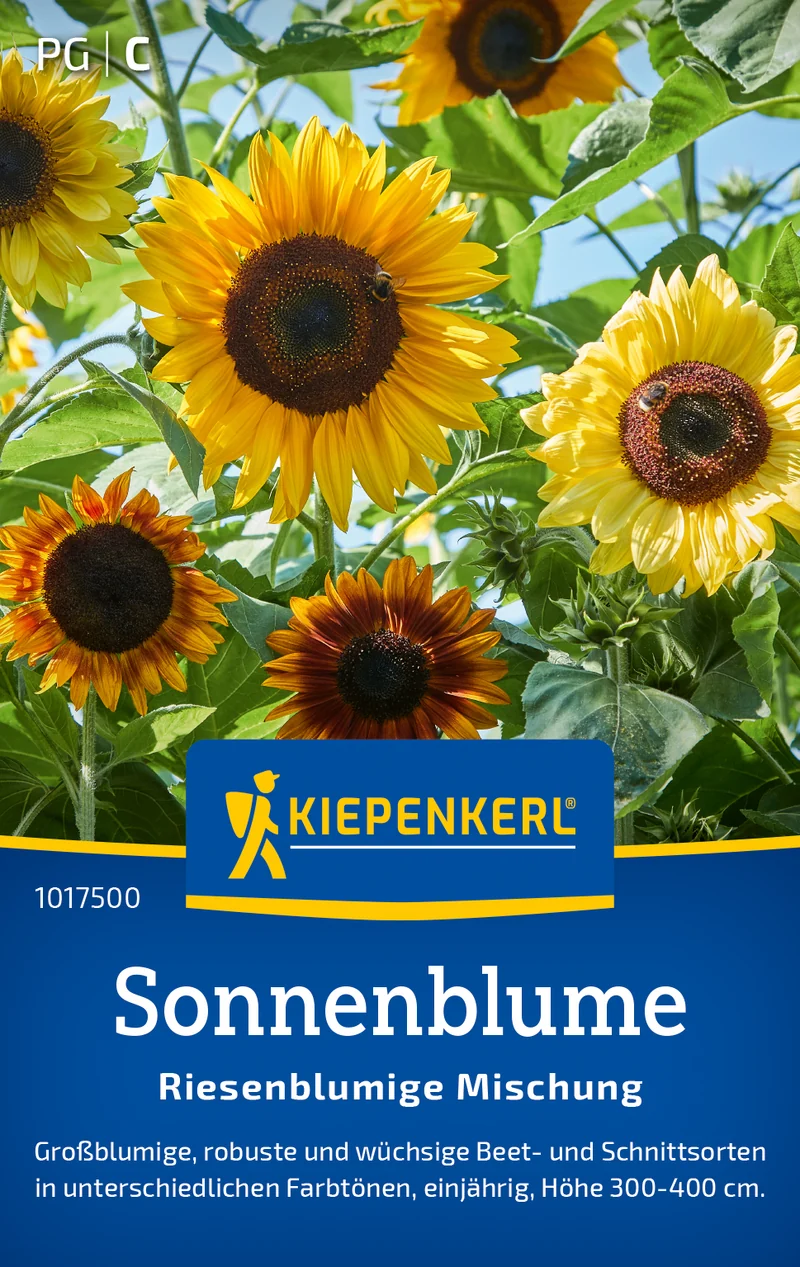 Sonnenblume Riesenblumige Mischung Saatgut